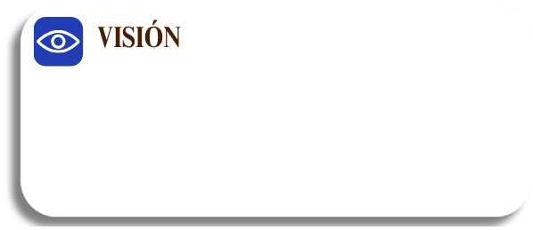Vision